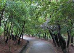 20110414141734_5_spring_tra20_oMmEmKYTd_eDtYmjPXrAbjWiT.jpg