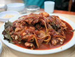 20110414150346_3_spring_tra38_PlMSaCvhpwrJbS_NNkYWaOgPO4z.jpg