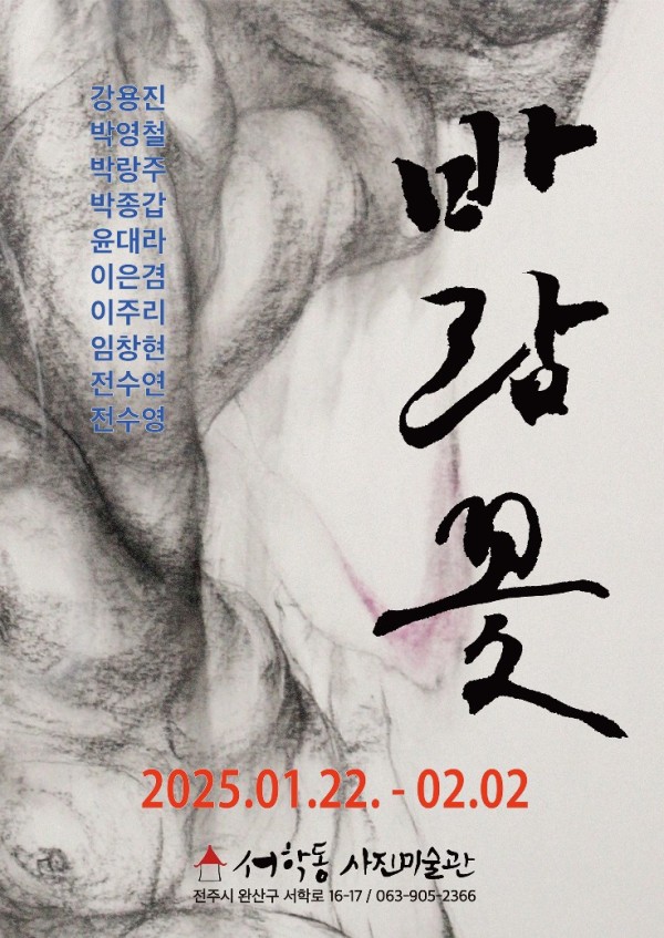 바람꽃